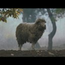 진우목장 이미지