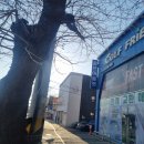 팔조지 | 부천골프샵 중고 조지스피리츠 뉴엠페라 아이언 구매 득템한 후기