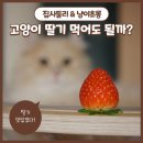 둘리과일마트