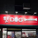 핫 dog | [거제 | 옥포동 | 핫DOG] 애견미용과 애견호텔 놀이방을 함께 이용할 수 있는 거제 훈육미용 • 고양이...