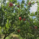 한석농장 이미지