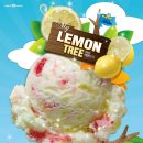 레몬트리 이미지