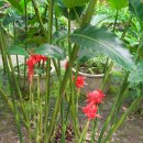 중식농장 이미지