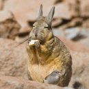 포비PC방 이미지