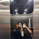 캣츠홈 | 더차임스 호캉스(?), 블루누들, 올드타운 소품샵 투어, 딥디 바인더, 캣츠키친, 타패게이트, 조인옐로우