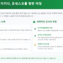 고려인삼 네이버블로그