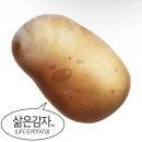 아쿠아식당 - 원주시 | 아쿠아식당