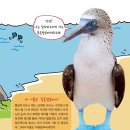 더푸른유치원 네이버블로그