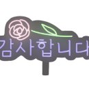 햇살품은창