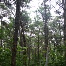 원당약수터 이미지