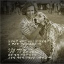 대문 - 잉글리쉬 세터 의 기원 이미지