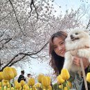 튜울립건어물 이미지