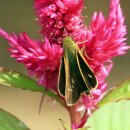 난지천공원 이미지