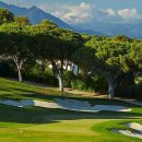 골프투어 이미지