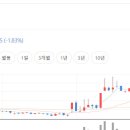 미르메딕스 이미지