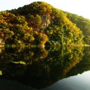 연산할머니순대 Daum카페