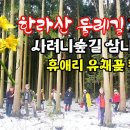 한라산 둘레길(7코스)사려니숲길, 삼나무숲길 겨울여행 이미지