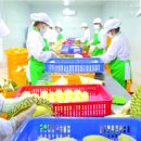 녹색자원 이미지