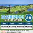 오션비치 이미지