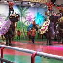 점보빌리지 이미지