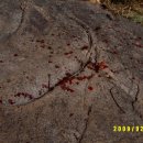 산골농부네 이미지