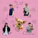 [베트남 다낭] k 장녀가 계획한 온씨네 가족 찐 자유여행, 여행 준비편 꿀팁 방출😎