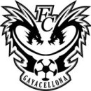 부산 축구 동호회 F.C Gayacellona 2012년 회원 모집합니다. 이미지