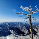 제일부동산중개 이미지