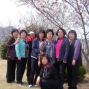 강진북초등학교 이미지