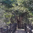 터낭하우스 이미지