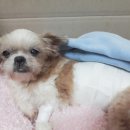정서동물병원 이미지