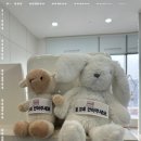 유일치과기공소 이미지