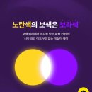 플러스 덴탈 | 내돈내산 스노우 플러스 덴탈 파우더 2주 사용 후기