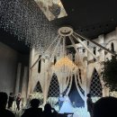 (주)투게더 | [웨딩] 천안 티웨딩 투게더홀 본식 후기_본식스냅 온더데이