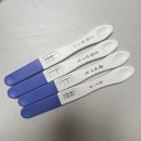 시흥시보건소 | 쫀득이와 첫 만남｜시흥시보건소 임신등록·임산부 초기검사 후기