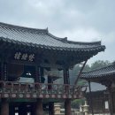 우리생오리 이미지