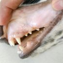 나우메디칼 이미지