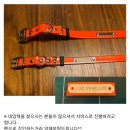 나드리독 이미지