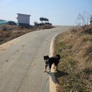 보령 대천항 수산시장 횟집 스쿠바수산 2kg 7만원의 행복 내돈내산 추천 후기
