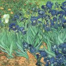 한붓꽃그림 이미지