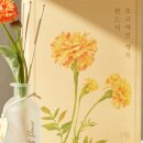 선물하기 좋은 디퓨져 세트 이미지