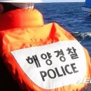 대정선원 뉴시스