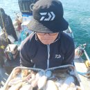 열번째 갑오징어 피싱(장원) 이미지