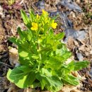 승모농장 이미지