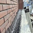 비둘기미용실 - 달서구 | 비둘기미용실