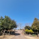 마르타하우스 이미지