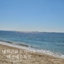 대천해수욕장 시민탑광장 관광안내소 | 대전 근교 드라이브 대천해수욕장 가을 바다 힐링 명소