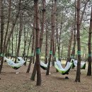 다정한지역아동센터 이미지