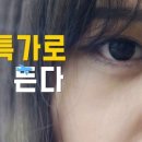 (주)사랑여행사