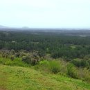 서광리-14 이미지